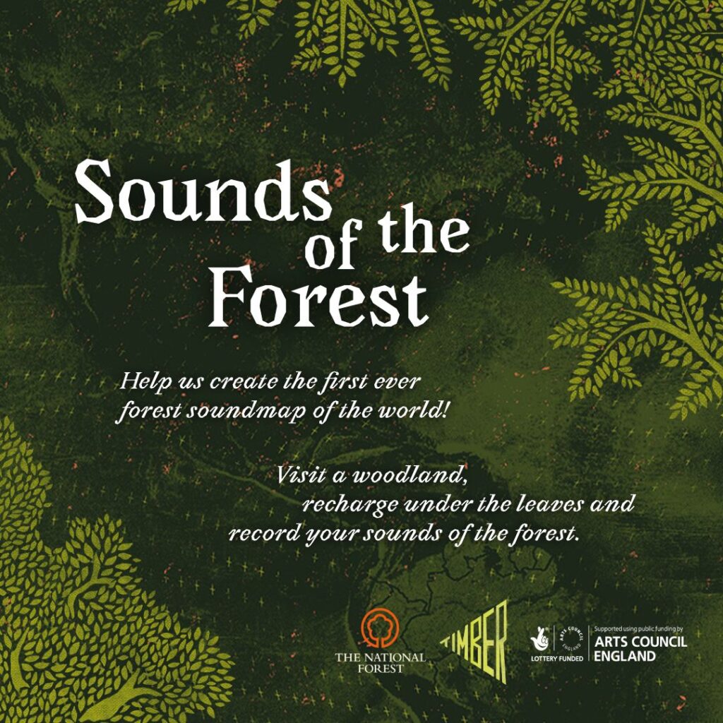 Metsa hääled