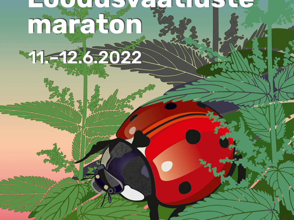 Loodusvaatluste Maraton 2022 Maardus
