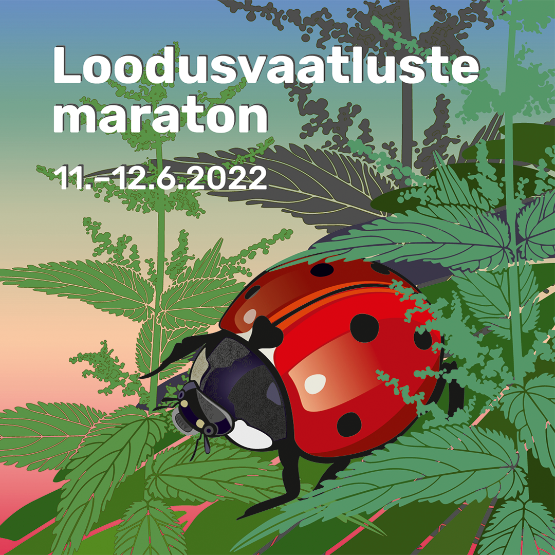 Loodusvaatluste Maraton 2022 Maardus
